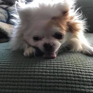 Meet your Posher, Kathy